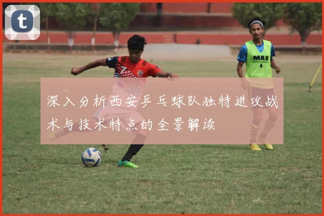 深入分析西安乒乓球队独特进攻战术与技术特点的全景解读